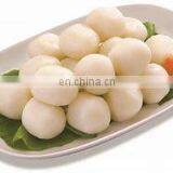 Encrusting Machine For Meatball Maker Fishball Former Machine thumbnail-6