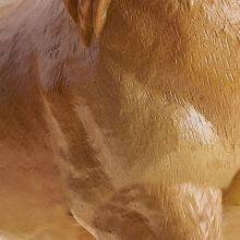 High Quality Vinly-PVC Simulation Animal Figure Toys Eco-friendly Akhal-teke Horses Educational Toys thumbnail-5