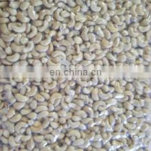 Cashew Nuts/ Cashew Kernel Vietnam with Cheap Prices