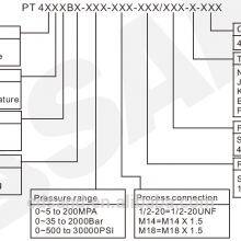 PT4B订货格式