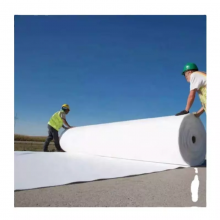 Factory Price Free Sample Filament Reinforced PET PP Geo Textiles Geotextile Fabric thumbnail-2