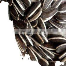 Wholesale Chinese Famous Brand Qiaqia Roasted Sunflower Seeds Sunflower Kernel Seeds Sunflower