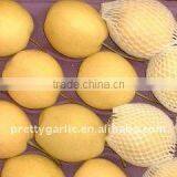 Juicy Yellow Golden Pear thumbnail-1