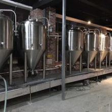 2000L Large Scale Brewing Equipment 304 Sanitary Pumps With VFD Controls