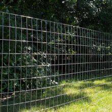 Best Selling Stainless Steel Welded Wire Mesh Hot Dipped Electro Galvanized Welded Wire Mesh Pvc Coated Welded Wire Mesh thumbnail-4