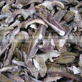 Market Prices For Boletus thumbnail-6