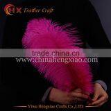2016 Wholesale Cheap High Quality Plumes Ostrich Feather for Table Centerpiece thumbnail-4