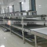Automatic Cookie Production Line