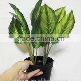 beautiful synthetic leaf potted tree artificial mini bonsai