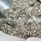 Sun Flower Seeds Long Type 5009 thumbnail-1