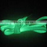 Glow Light Shoelaces
