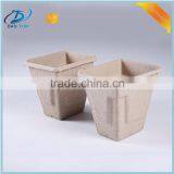 Hot Selling Factory Directly Wholesale Molded Paper Apple Tray thumbnail-2