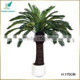Customized Evergreen Artificial Cycas Revoluta Tree for Sale in Stock thumbnail-2