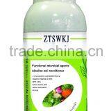 Functional Microbial Inoculums Alkaline Soil Conditioner thumbnail-2