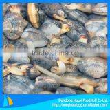 Frozen Boiled Clam Seafood thumbnail-1