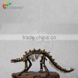 Dinosaur Fossil Replica for Dinosaur Museum Educational Sample