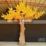 Led Yellow Maple Trees Sell thumbnail-1