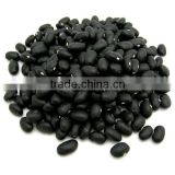 Competitive Price Vietnam black beans for sale