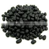 Competitive Price Vietnam Black Beans for Sale thumbnail-1