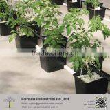 Factory Perlite Water Retain Growing Medium thumbnail-2