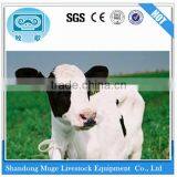 Wholesale Animal Cow Ear Tag thumbnail-1