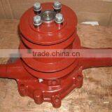 CY4102BQ Waterpump