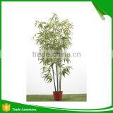 High Quality Ornamental Artificial Bamboo Tree thumbnail-4