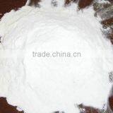 Factory in Jinan China Hot Sale Promotion Corn Starch Fodder Granule Machine thumbnail-4