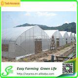 Glass Greenhouse thumbnail-1