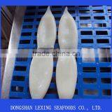 Squid Tube,Todarodes Pacificus