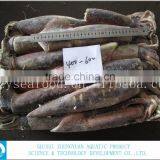 Frozen Illex Argentinus Squid thumbnail-3