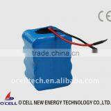 Rechargeable 12V Batterie LiFePO4 (12V,10Ah)