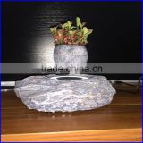 Levitation jade bonsai pottery with indoor plants