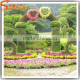 2016 Chinese boxwood hedge artificial landscape topiary for garden decoration