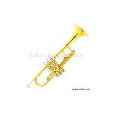 Sell Cupreous Trumpet