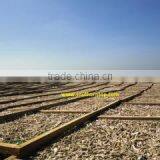 Southern Top Investment Company Limited company overview - view 1 thumbnail