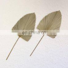 !00% Nature Cheap in Bulk Palm Leaf Fan Wall Art Traditional Woven Decoration Best Price Wholesale thumbnail-5