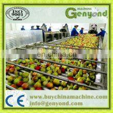 Top Quality Apple Juice Process Plant / Apple Juice Extracting Press thumbnail-3