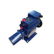 ELECTRIC ACTUATOR TYPE BS-60/100F30ZR Quarter-turn Actuator