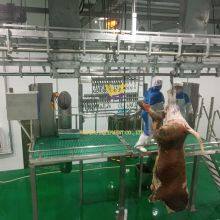 High Efficiency Automatic Halal Cattle Slaughtering Equipment Cattle Slaughter Production Line thumbnail-2