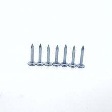Customizable Roofing Clout Nails - Galvanized, 1kg or 25kg, Made in China thumbnail-1