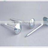 Galvanized Umbrella Head Roofing Nails China Factory Supplier