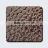 Plastic Film Coated Aluminium Sheet thumbnail-1