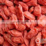 Organic Chinese Ningxia Goji thumbnail-1