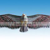 Customed Eagle Kite