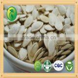 Dry Roasted Shine Skin Pumpkin Seeds ,11mm 12mm thumbnail-1
