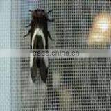 Window Screen