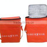 Non Woven Cooler Bag thumbnail-4