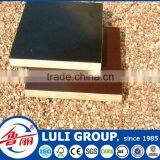 1220mm*2440mm film faced plywood/shuttering plywood/marine plywood