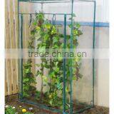 Walk-in Greenhouse(TK23026) thumbnail-1